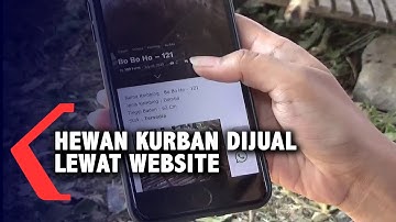 Inovasi Penjualan Hewan Kurban, Secara Digital hingga Beri Nama Artis
