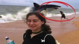 Download lagu Top 10 Shark Attacks You Won t Believe Top 10 Shark Attacks You Won t Believe