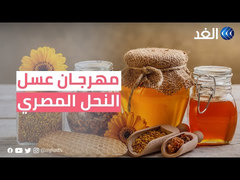 انطلاق فعاليات مهرجان عسل النحل المصري في القاهرة