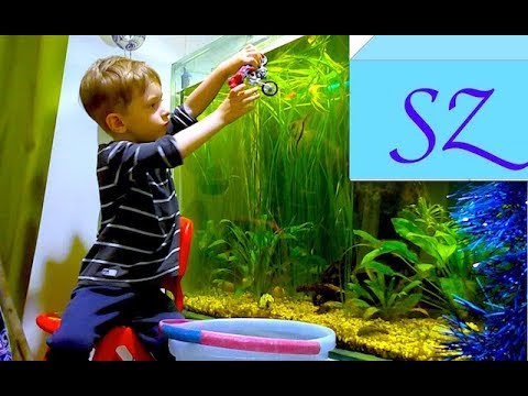 Video: Hvordan Forsvare Vann Til Et Akvarium