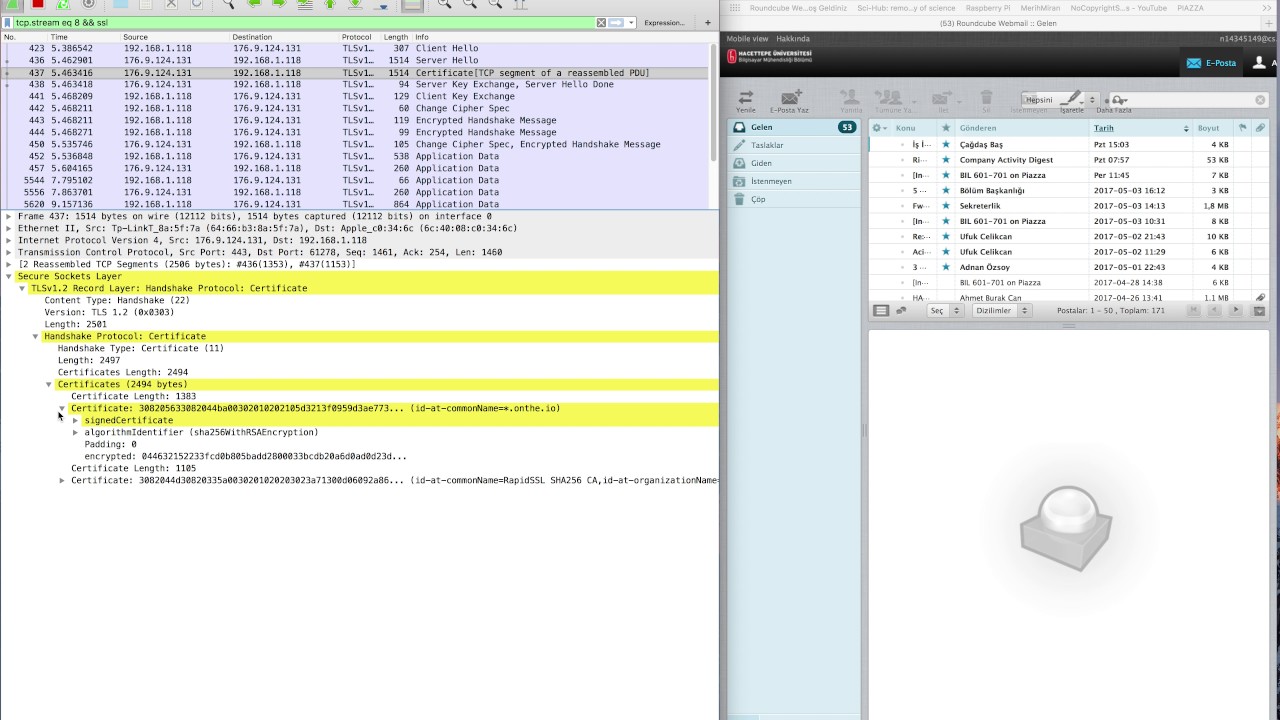 wireshark https wireshark https