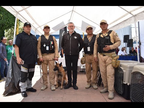 Binomios caninos de la Cámara de Diputados participan en jornada de la alcaldía Venustiano Carranza