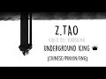 Miniature de la vidéo de la chanson Underground King