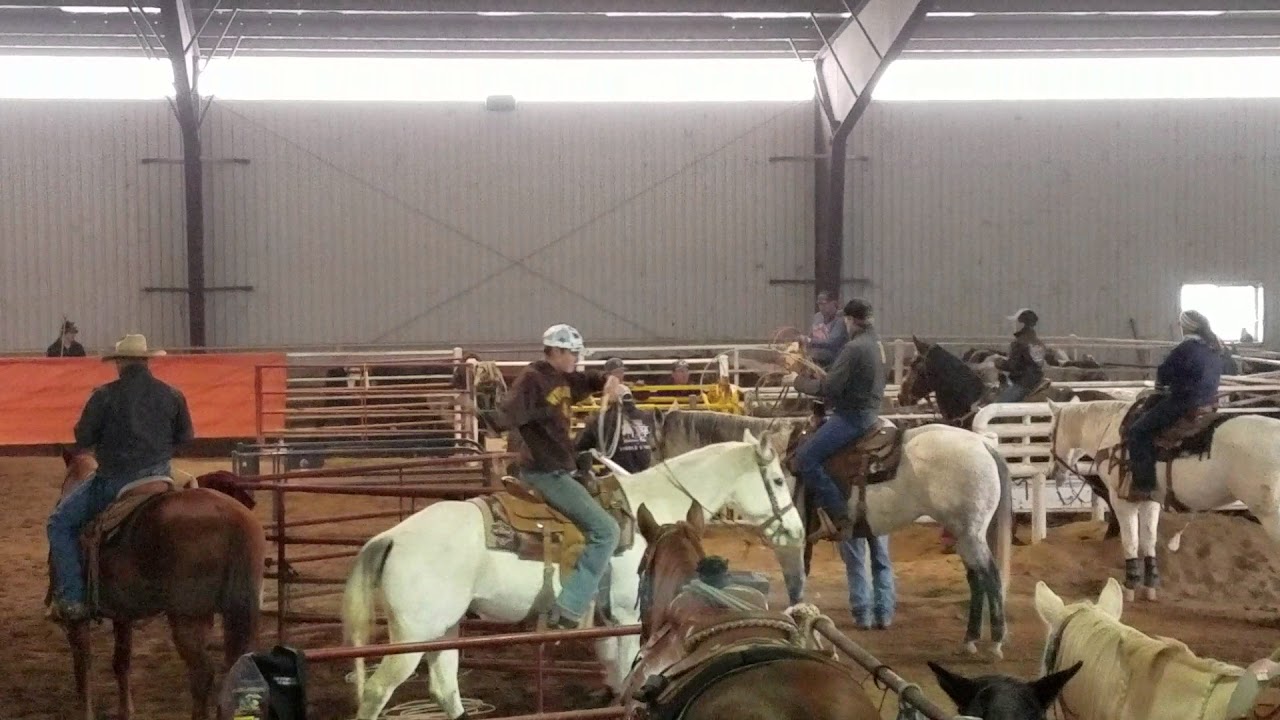 Colton Allen Roping Colton Roping - YouTube