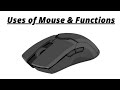 Computer Mouse || Uses of Mouse and its Functions