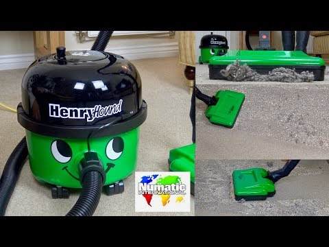 Numatic Henry Hound The Biggest Mess Test Ever On My Channel!!!!