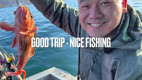 Câu Cá Mú ở vùng Tây Bắc Mỹ.  Bottom Fishing at Garibaldi OR. Lingcod, Cabezon and Rockfish.
