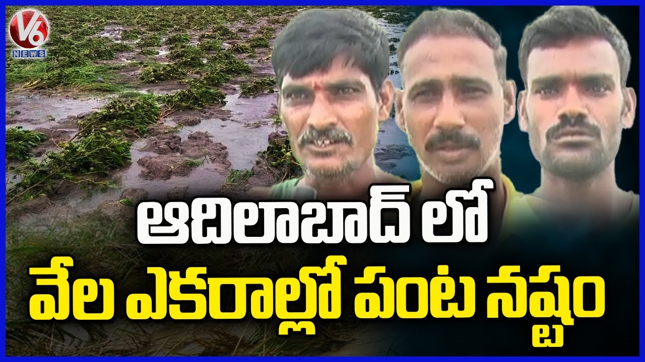 Farmers Worried Over Crop Loss Due To Heavy Rains In Adilabad, Demand ...