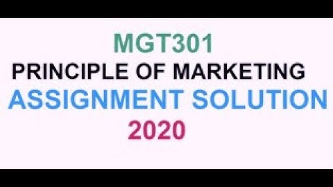 MGT301-Principle of Marketing -Assignment Solution2020////online accounting&business  course