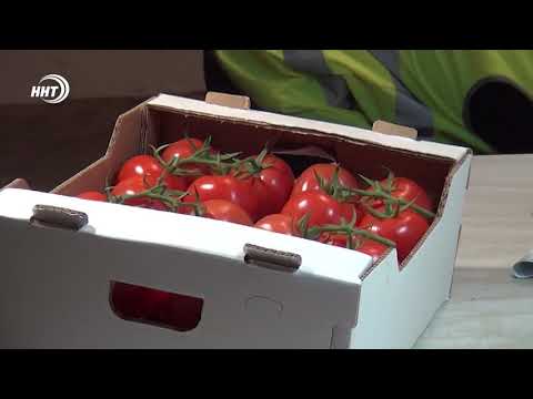 Россельхознадзор не допустил ввоз в Дагестан зараженных овощей из Азербайджана и Ирана