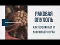 Как возникает и развивается рак - Лабиринты Знаний