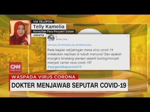 Video: Apa Yang Terjadi Pada Paru-paru Dengan Coronavirus?