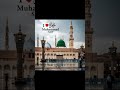 sarkar ka naukal hon koi aam nahi hon @istkhar786i #islamicshorts #beautful#islamicmusic#shorts