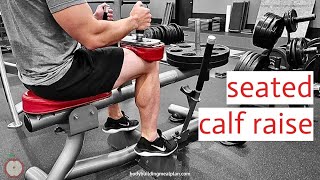 Seated Calf Raise With Machine 3 Alternatives You Can Do At Home