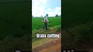 Grass cutting with side pack grass cutter  ##short #youtube #trending #agriculture#