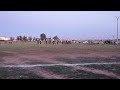 Tbourida سربة محمد سكات 