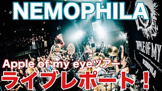 NEMOPHILA】初体験ライブレポート-Apple of my eye release tour2025