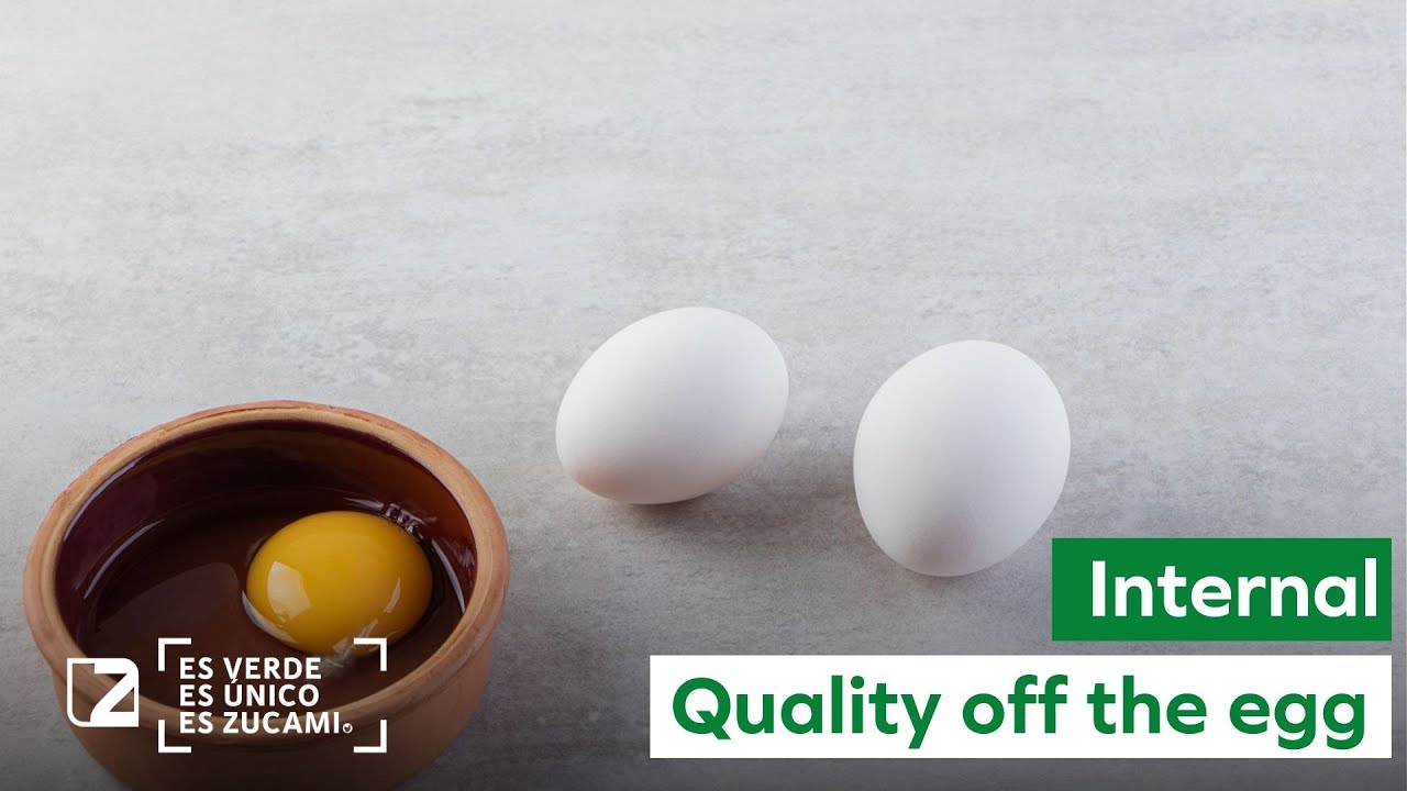 🥚 How to evaluate the internal quality of the egg. 🥚