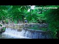 【自給自足の山暮らし】佐渡島の自然の中で過ごす穏やかな時間