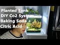 Planted Tank and DIY Co2 System Baking Soda and Citric Acid