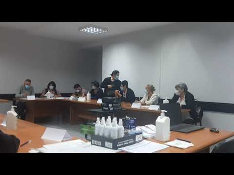 „შენ გაჰყვები გადასატან ყუთს, ყავასაც მომიდუღებ“  - დაპირისპირება რუსთავის მე-17 საარჩევნო უბანზე