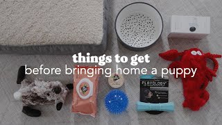 Must-Have Puppy Items For Your Home