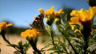 Namibia Promo - Omaheke Region