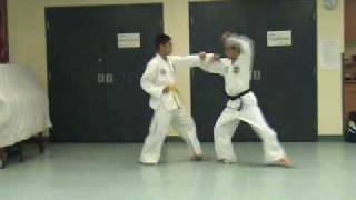 3 Step Sparring No. 4