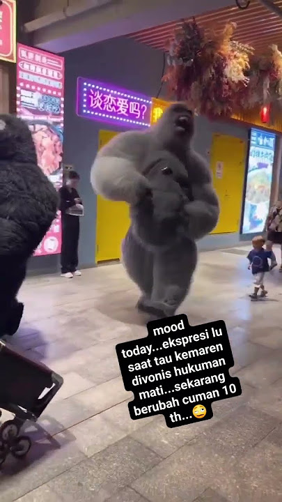 Badut Gorila Joget Asik