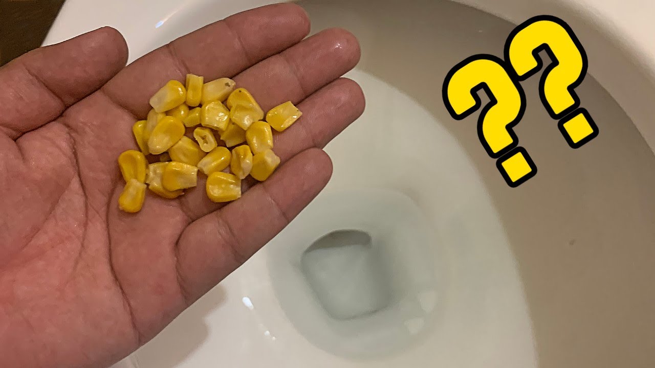 25 Datos Inútiles #38 | ¿Por que los elotitos no se digieren?