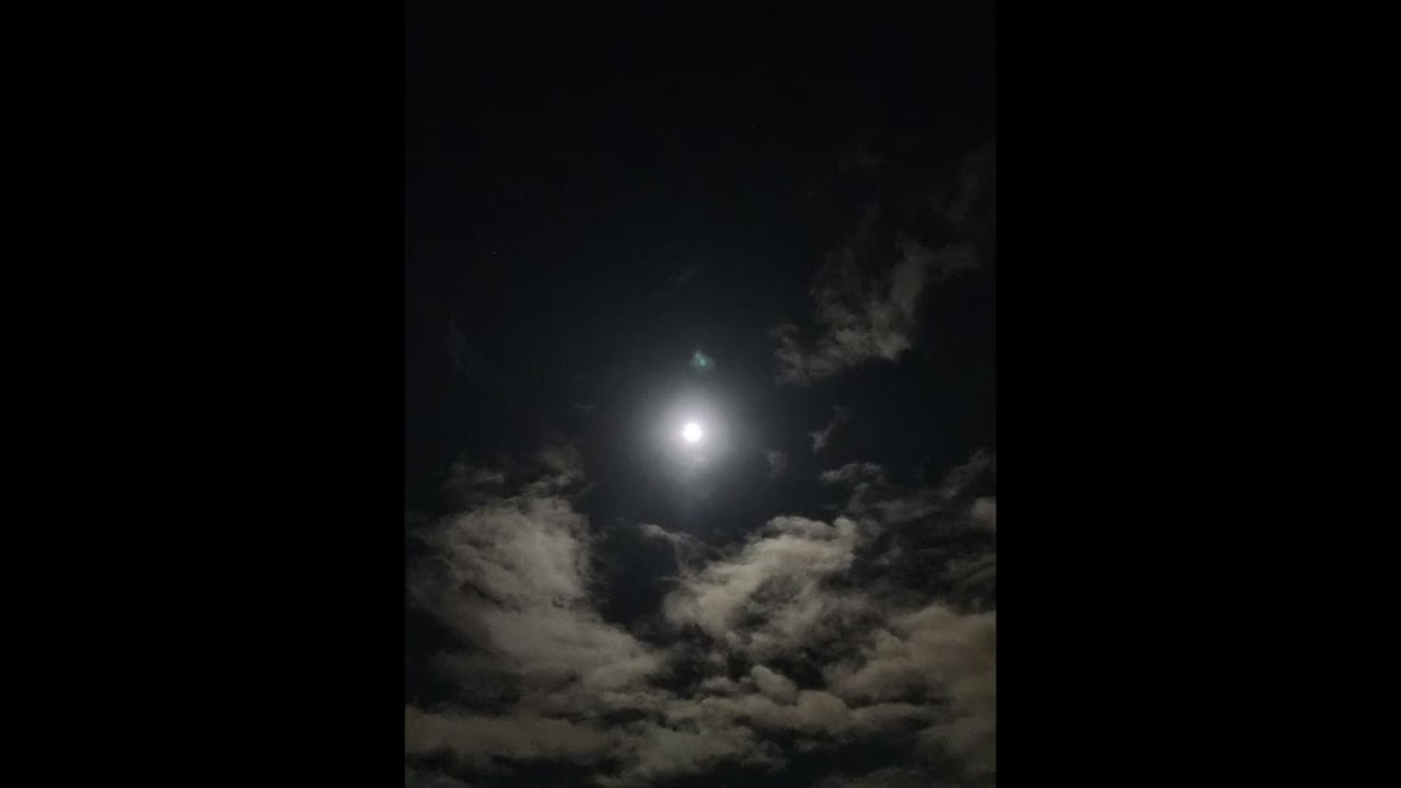 HAYKAZ-So raise your voice in silent cheer