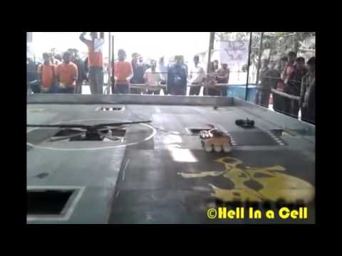 Bot Destroyal At Hell In A Cell - Past Innovacion