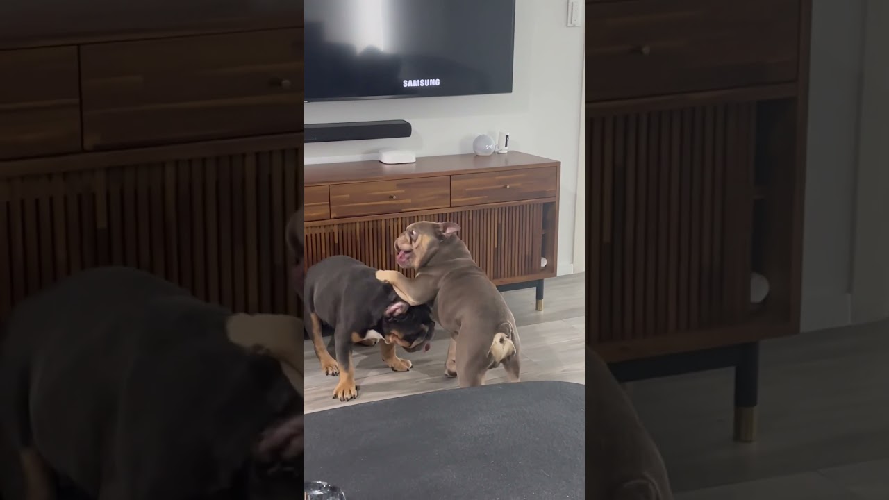 It’s a love hate relationship 