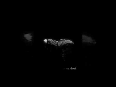 بهزاد لیتو تو مشتم      