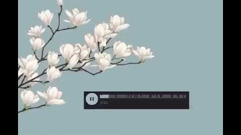 حالات واتس  اب دينيه ((سورة القدر ))🥺🖤
