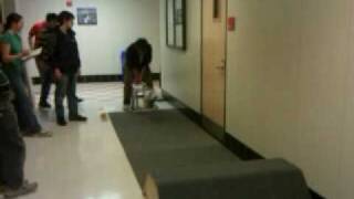 Team 449 kicker test 1
