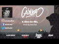 Miniature de la vidéo de la chanson Chiens Des Villes