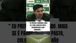 ABEL DISPARA: “RECLAMAM DA GRAMA SINTÉTICA PORQUE ESTÃO ACOSTUMADOS COM PASTO” #palmeiras #futebol
