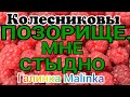 Колесниковы /Позорище/Мне стыдно /Обзор Влогов /