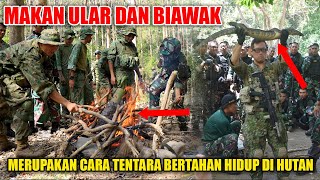 Makan Ular Dan Biawak Adalah Cara Bertahan Hidup Di Hutan