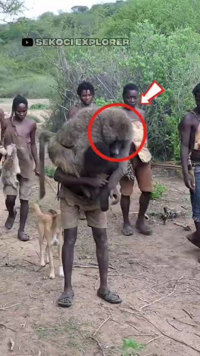 The Crazy Secret of an African Tribe for Catching Baboons!