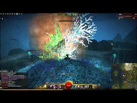 Video: I guild wars-fraktioner?