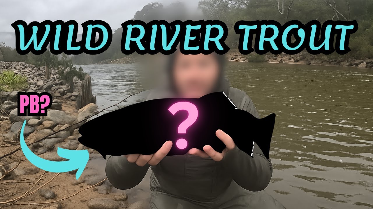 Wild NSW River Trout - NEW PB!? feat.