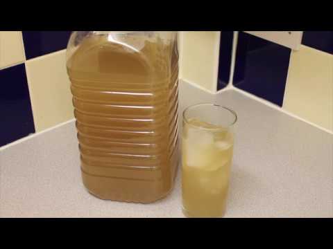 how-to-make-guyanese/guyana-style-ginger-beer