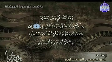 تلاوة تحبيرية من سورة "الممتحنة "  || الشيخ : احمد عيسي المعصراوي  || من مختارات المجد HD