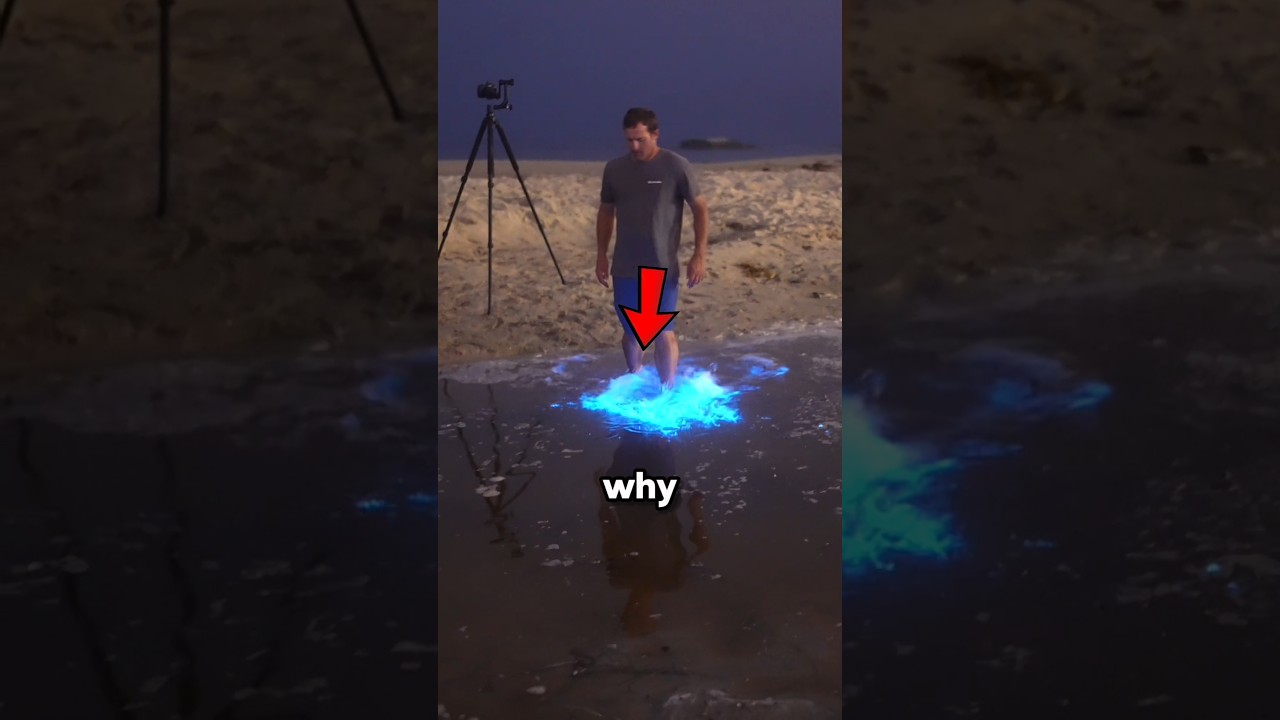 Почему этот пляж магически светится? 😱