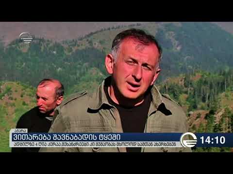 ვითარება შავნაბადის ტყეში