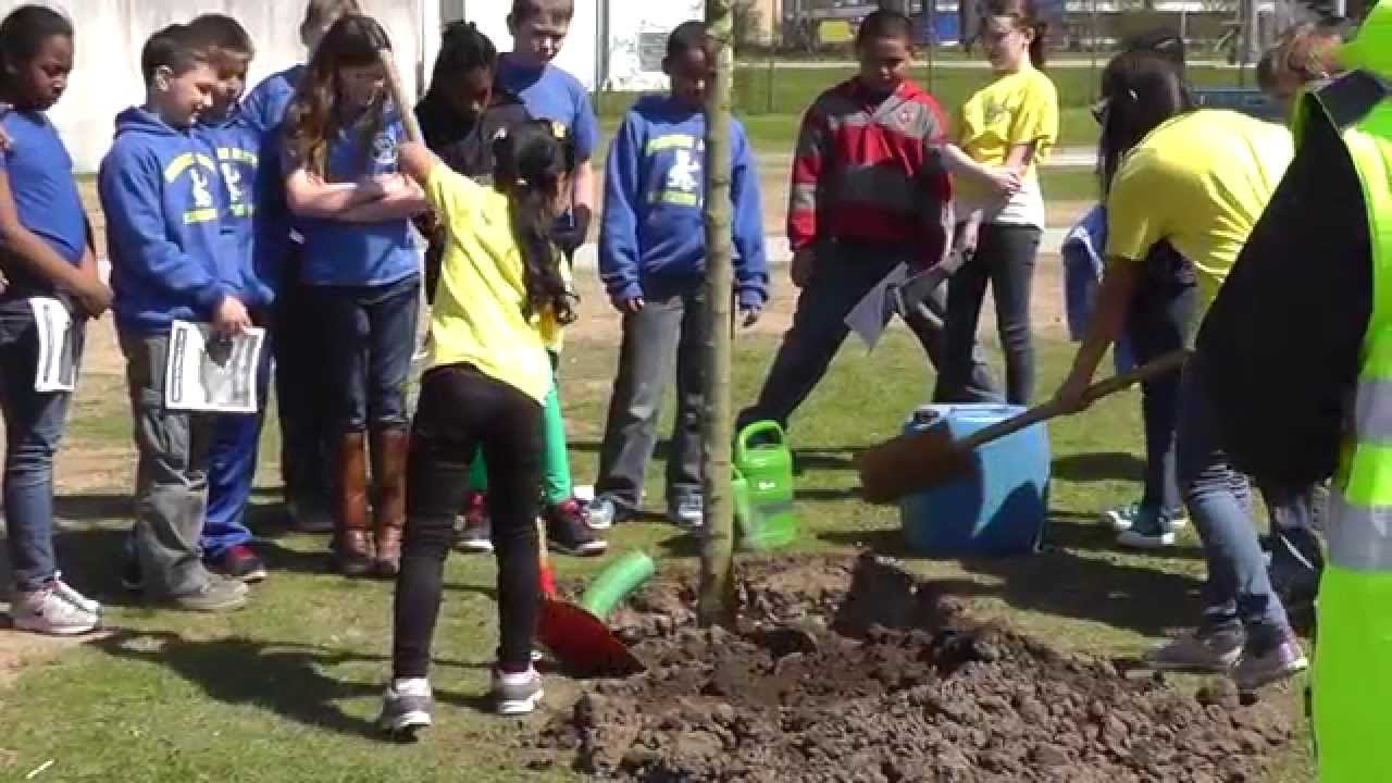 Ansbach Elementary School students plant field maple