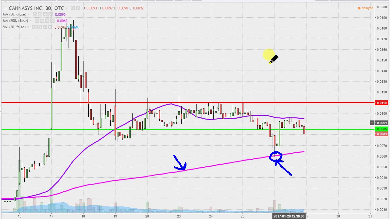 Mjtk Stock Chart