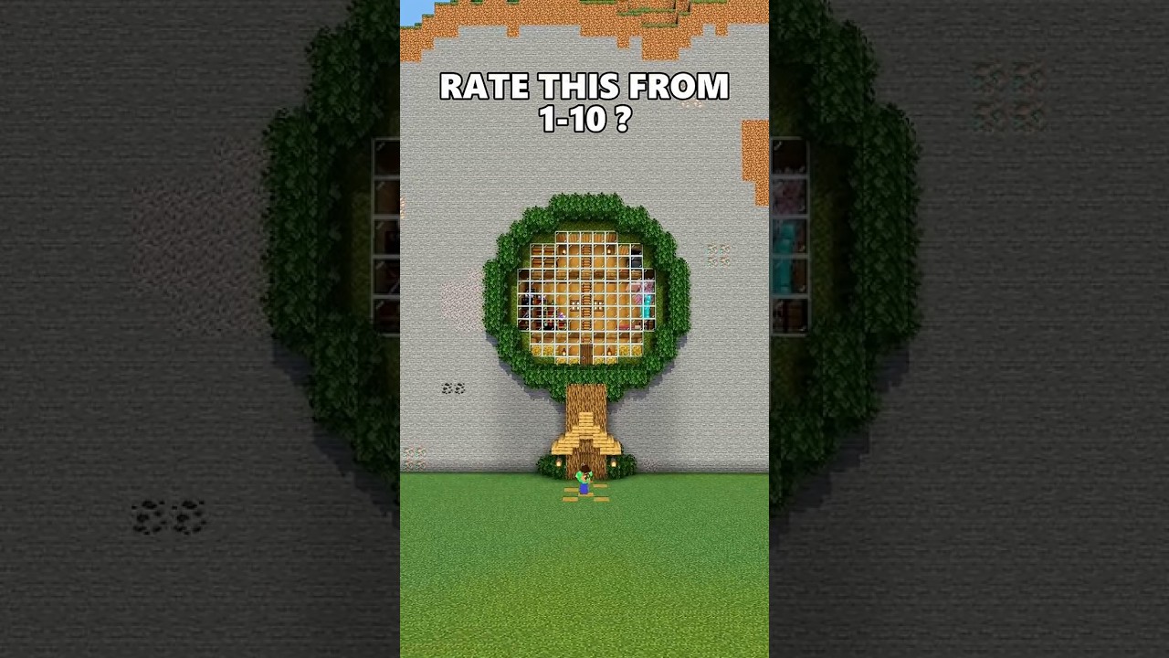 Tree House + Mountain House 🏡